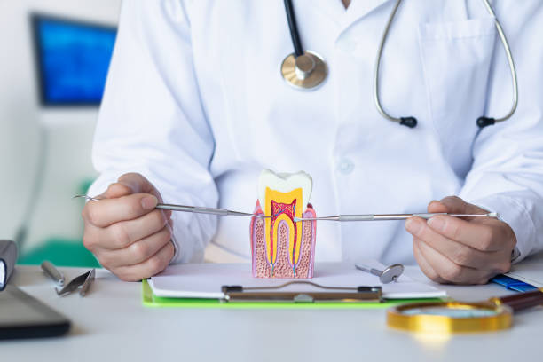 Best After-Hours Emergency Dentist in White Hall, IL